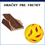 hračky pre fretky